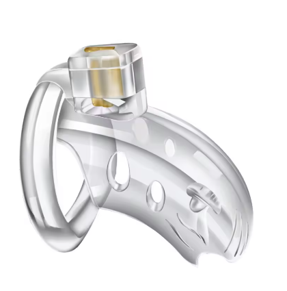 Chastity Lock For Men